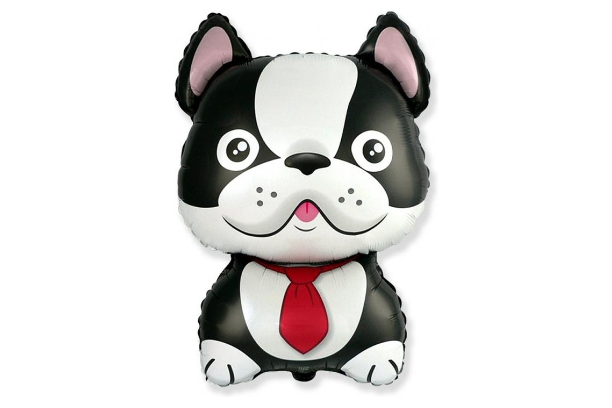Balon Foliowy z Helem 24 cale FX – Pies Bulldog, czarny