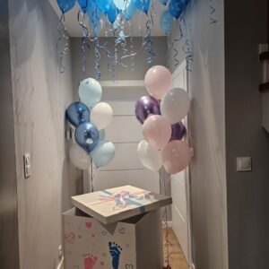 Gender Box Jpg Oliwia Balony