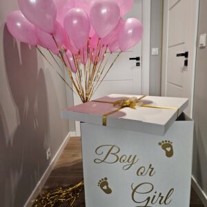 Zestaw na Gender Reveal Party - Odkryj Płeć Dziecka w Magiczny Sposób! 🎉🎈 20241229-093006-scaled Oliwia Balony