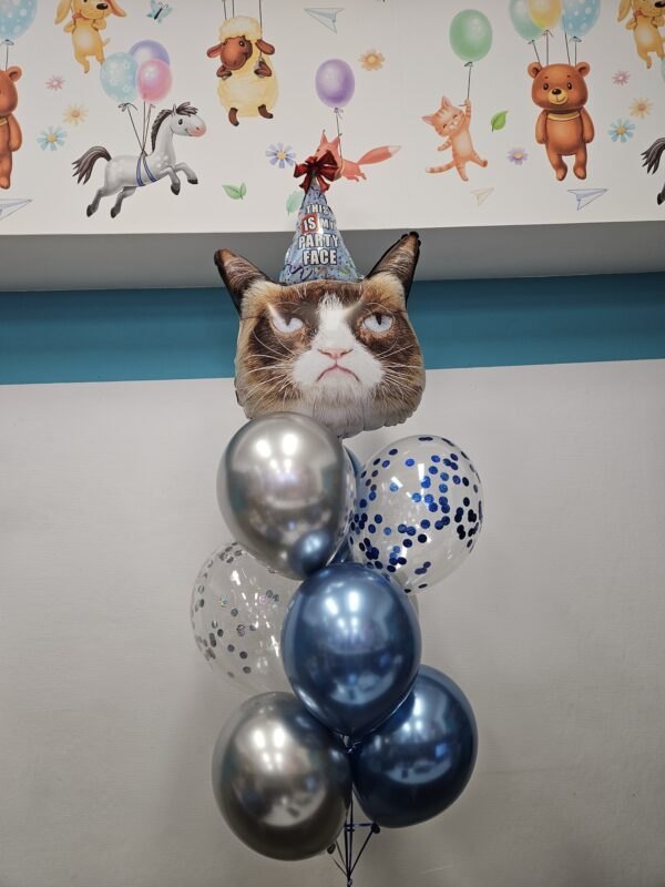 Zestaw balonów z Grumphy cat